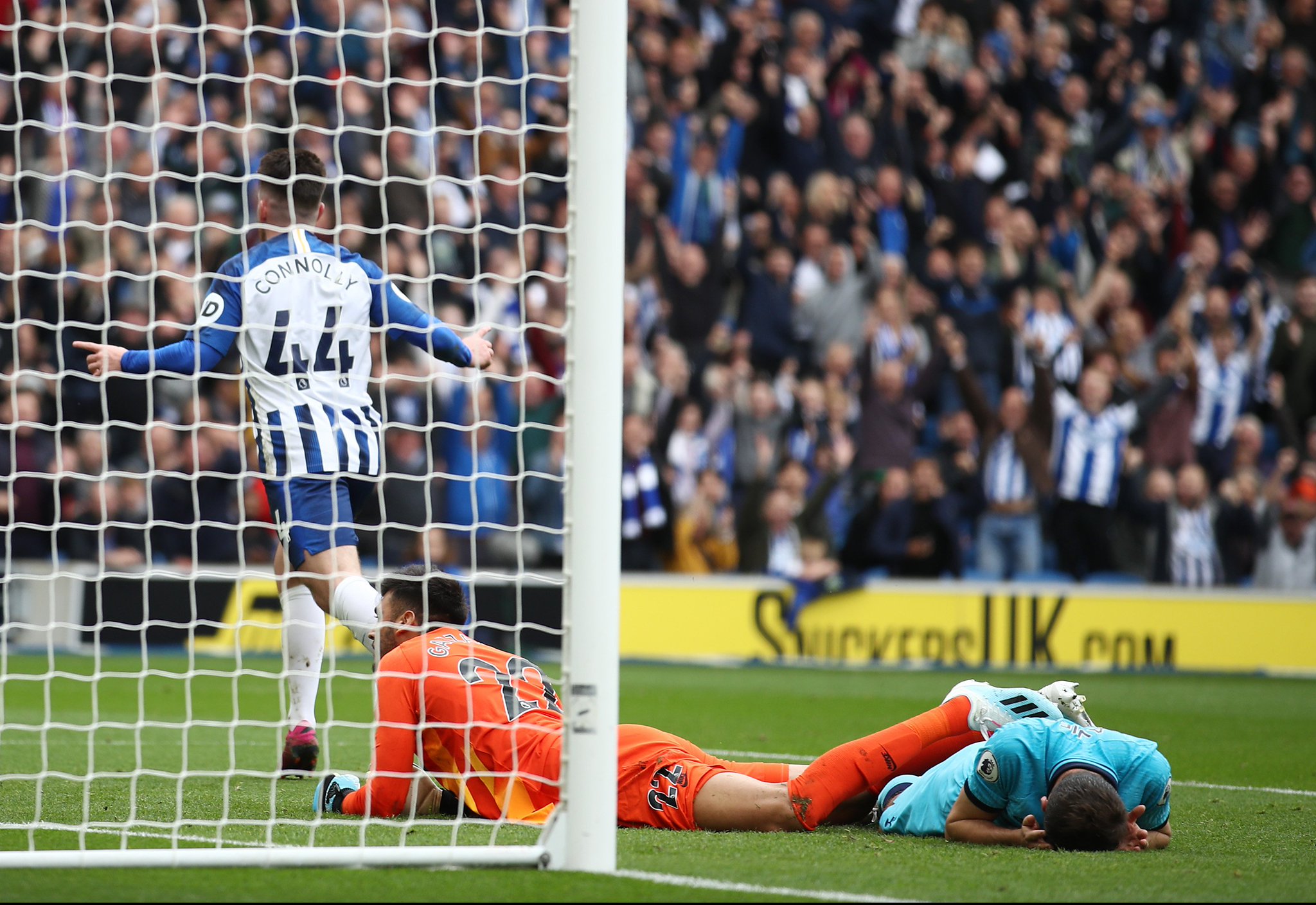 不仅可以提 不仅可以提